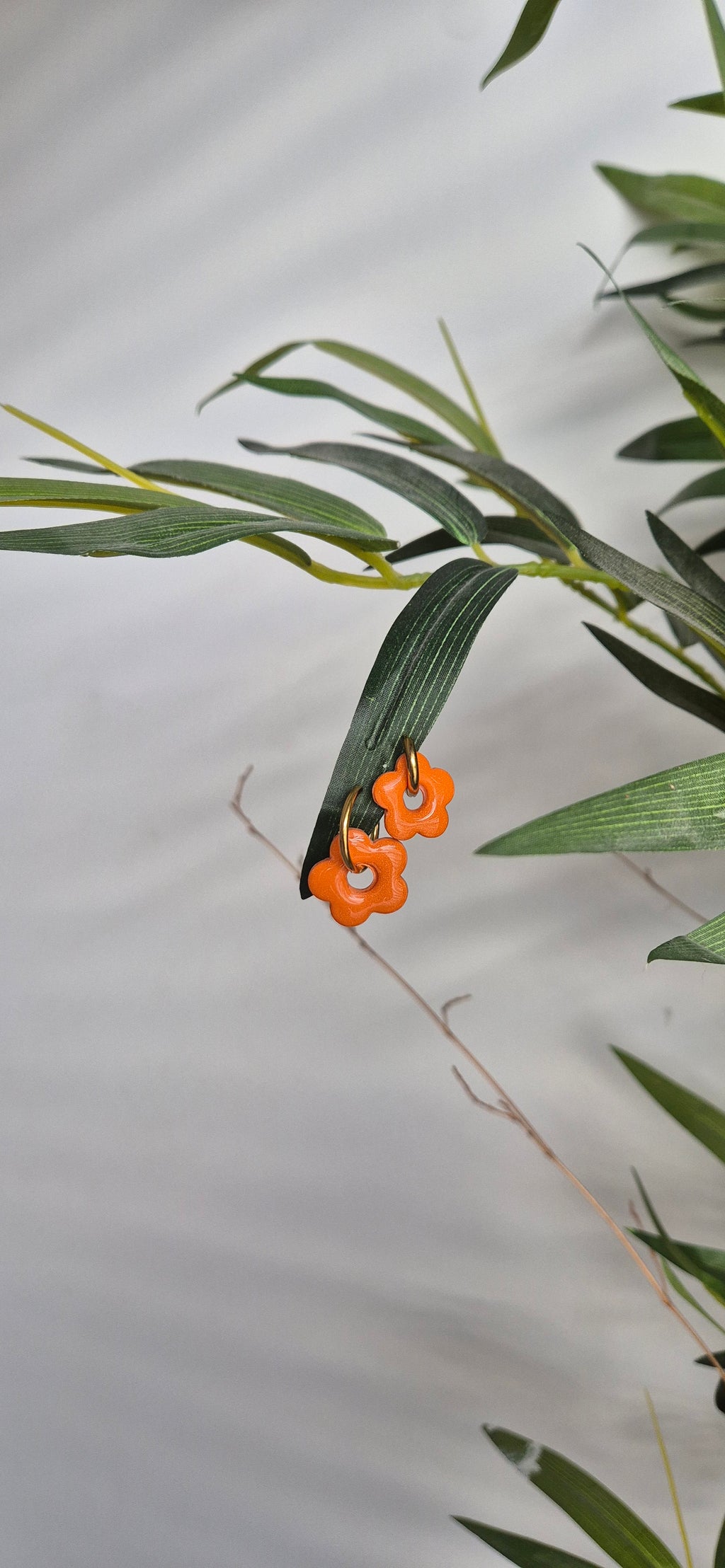 Box Flora